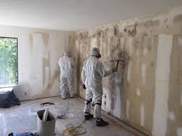 Why You Should Choose Our Mold Remediation Services in Big River, CA